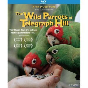 The Wild Parrots of Telegraph Hill  BLU-RAY
